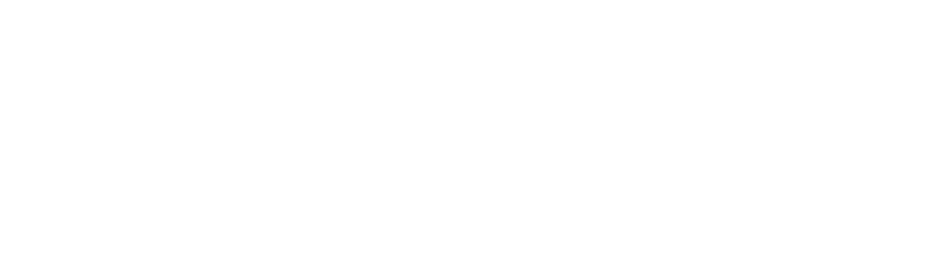 ParkShield